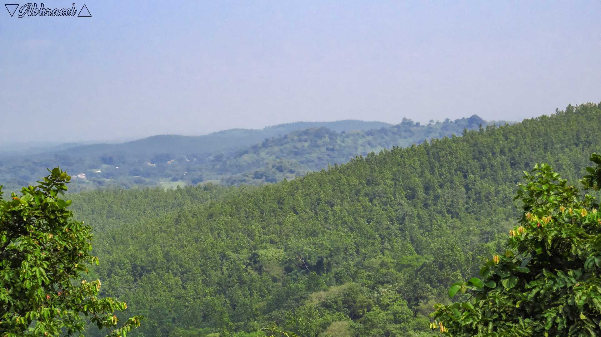 JHILIMILI FOREST RANGE 