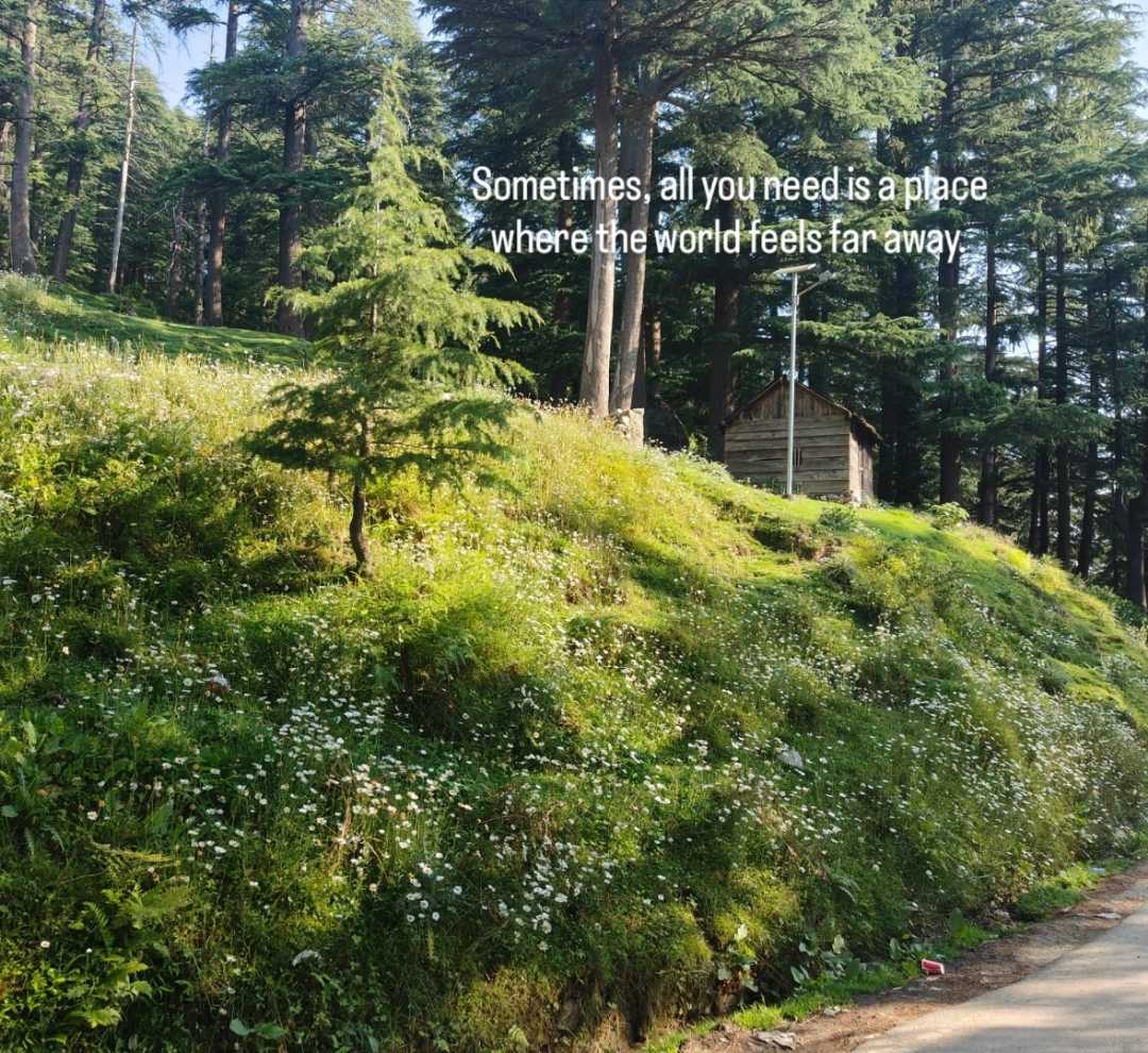 💚💚