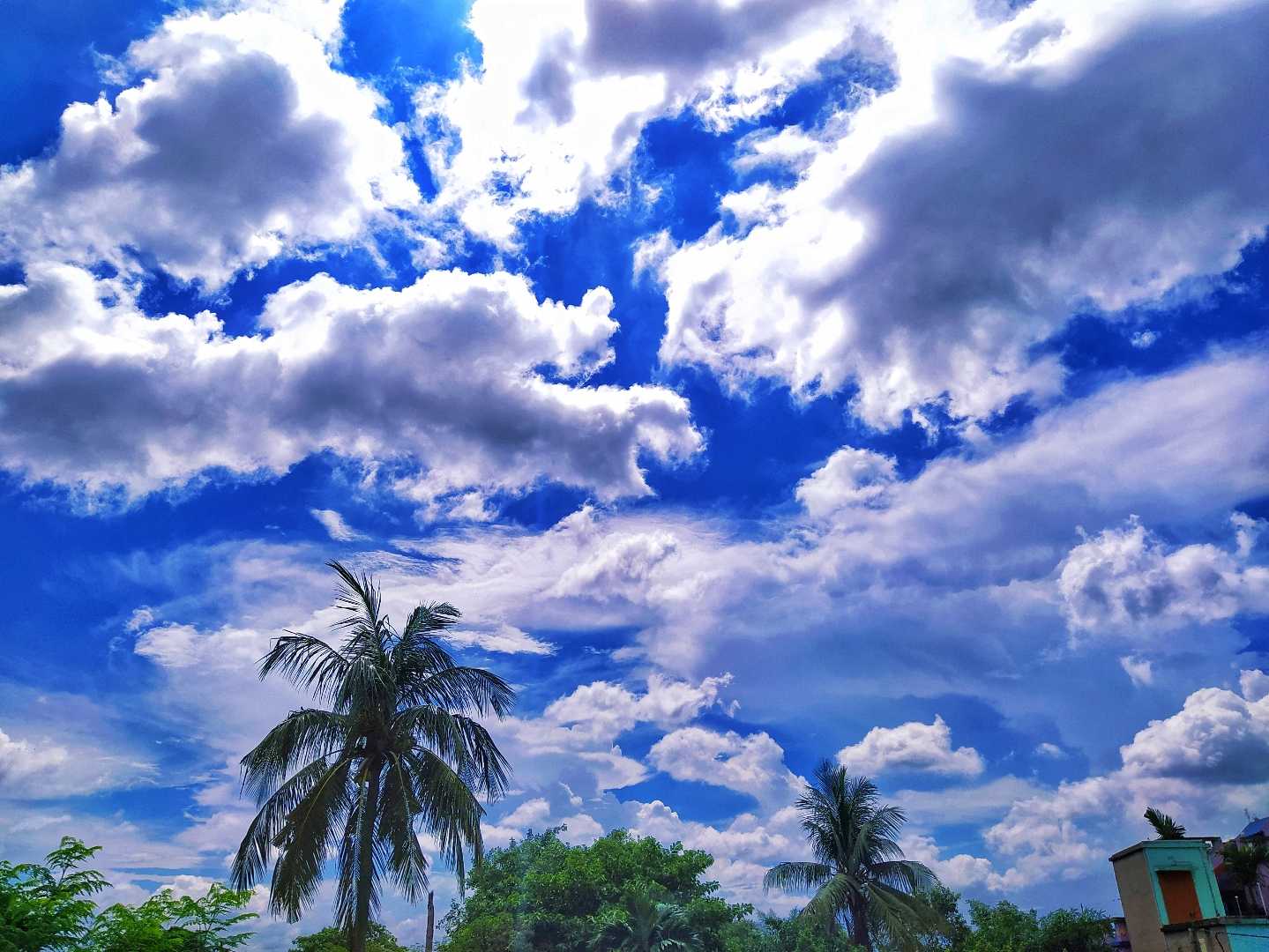 In The World Of Sky!💙