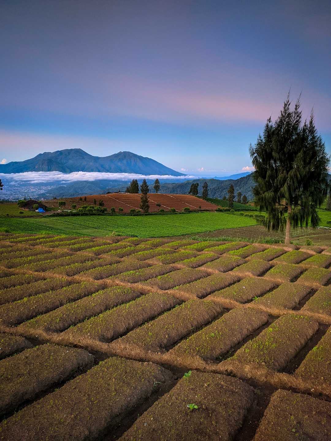 Puncak Brakseng
