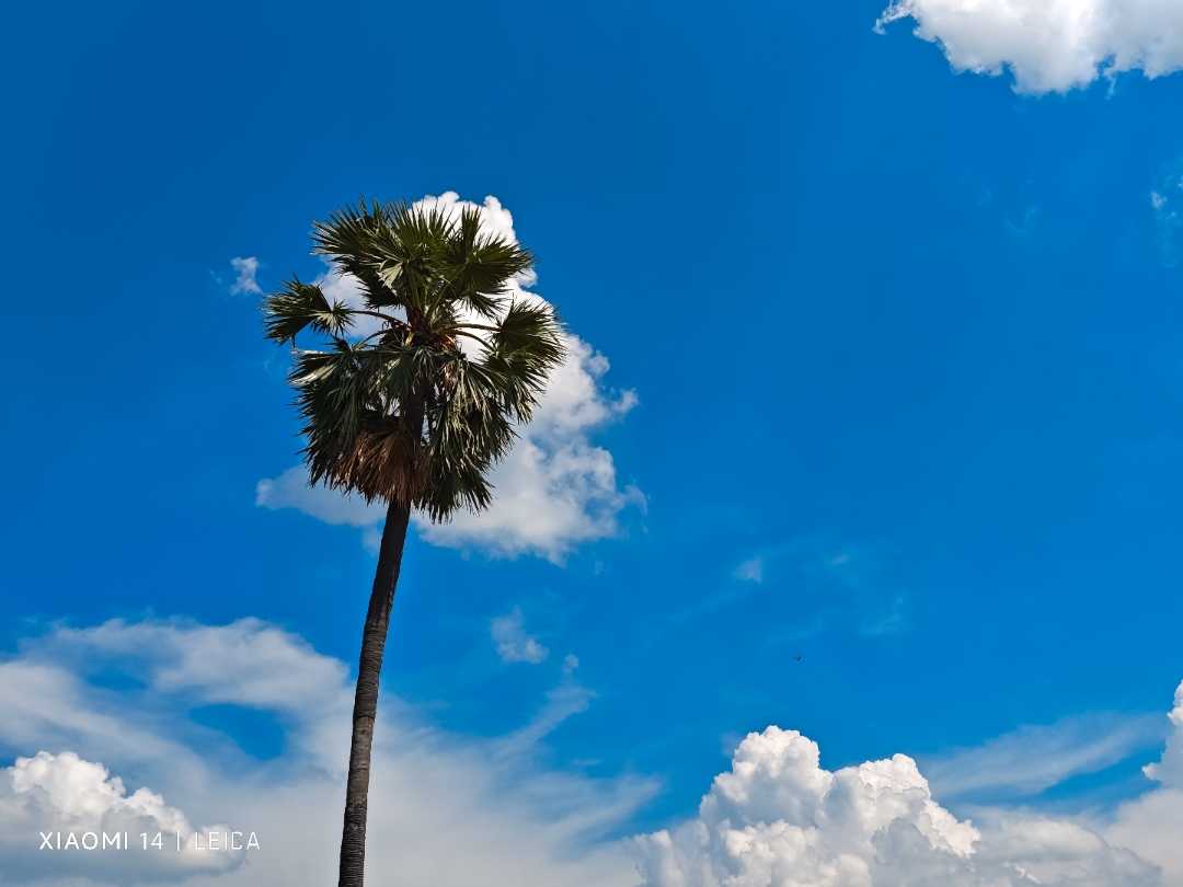 A beautiful day