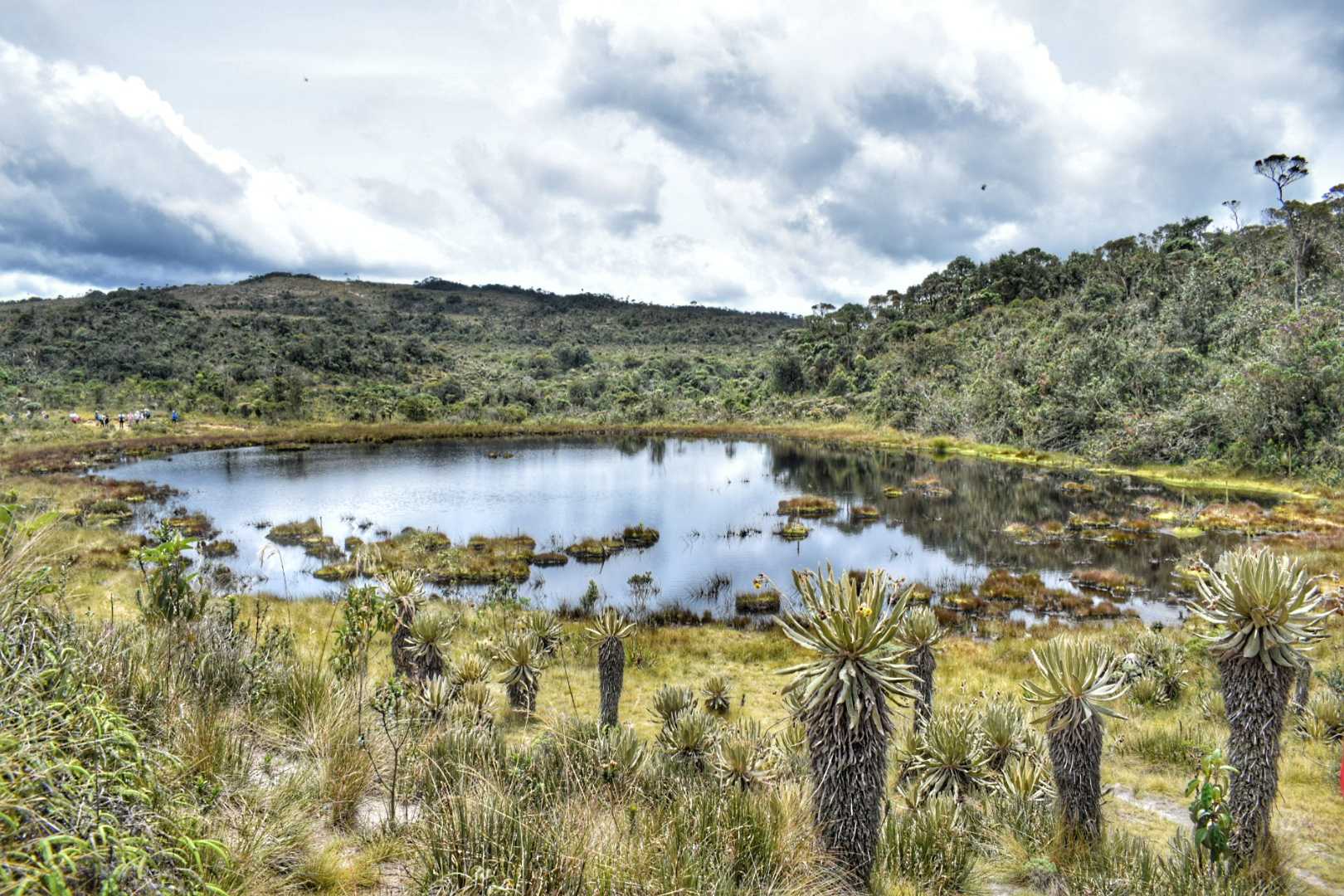 Lugar de vida