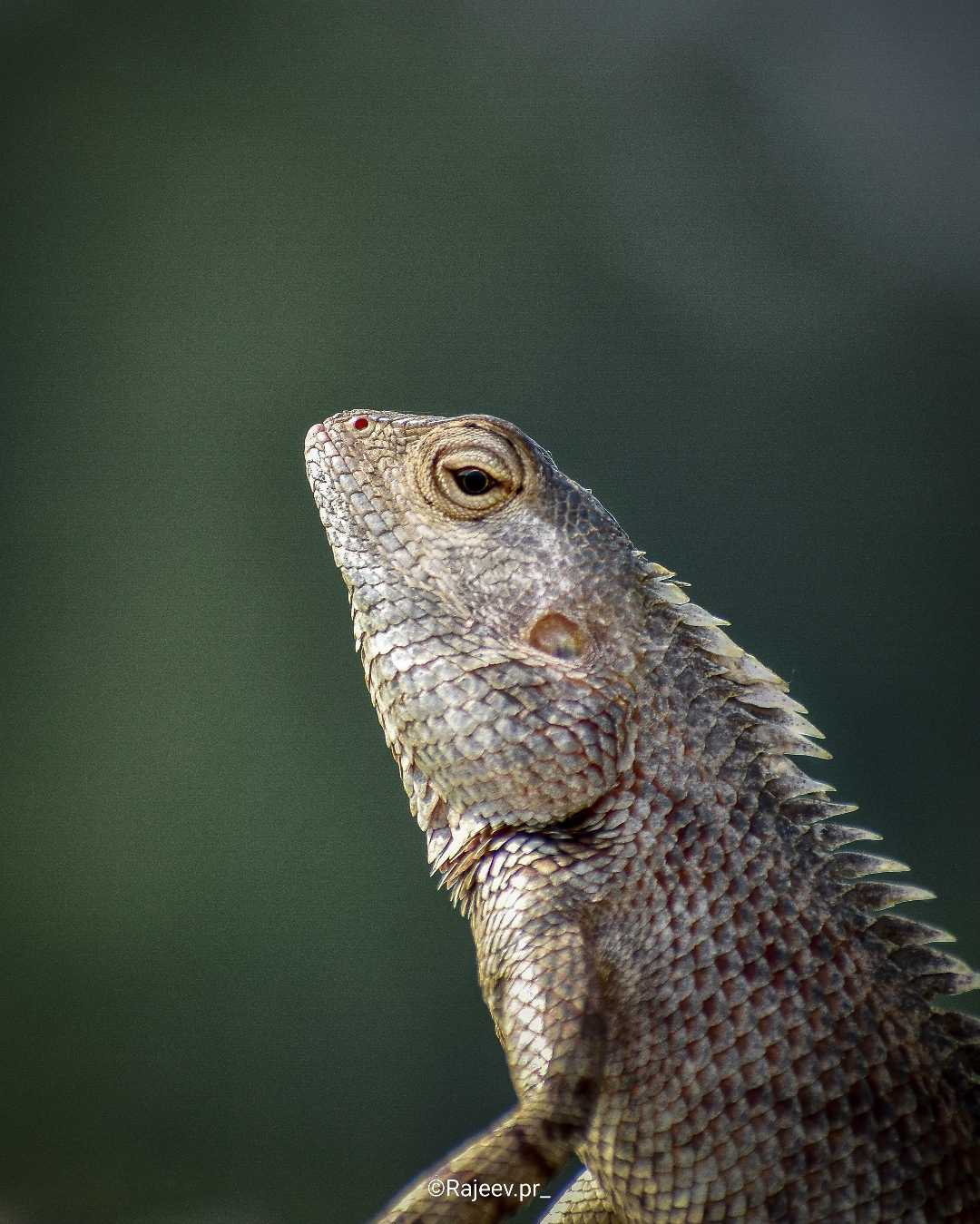 Close up