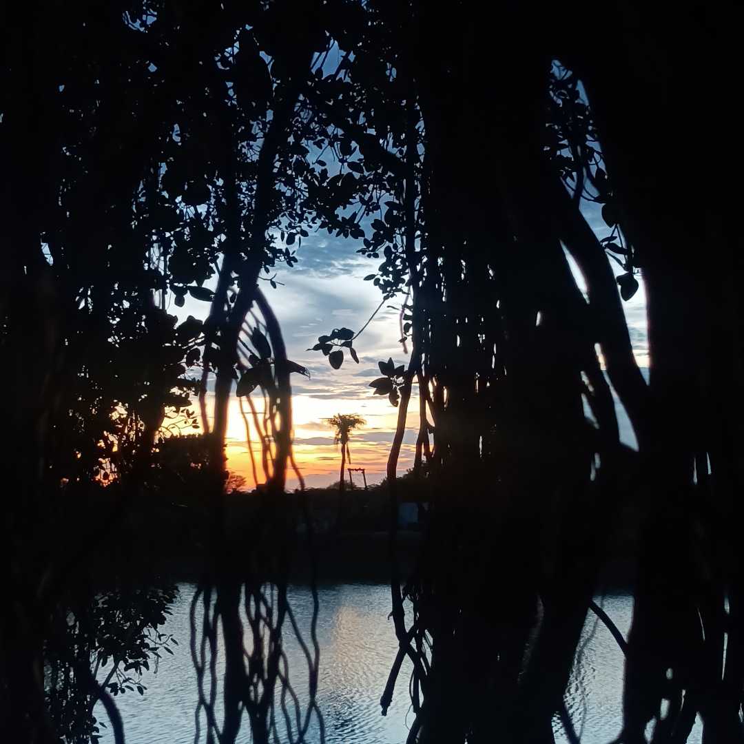 sunset 