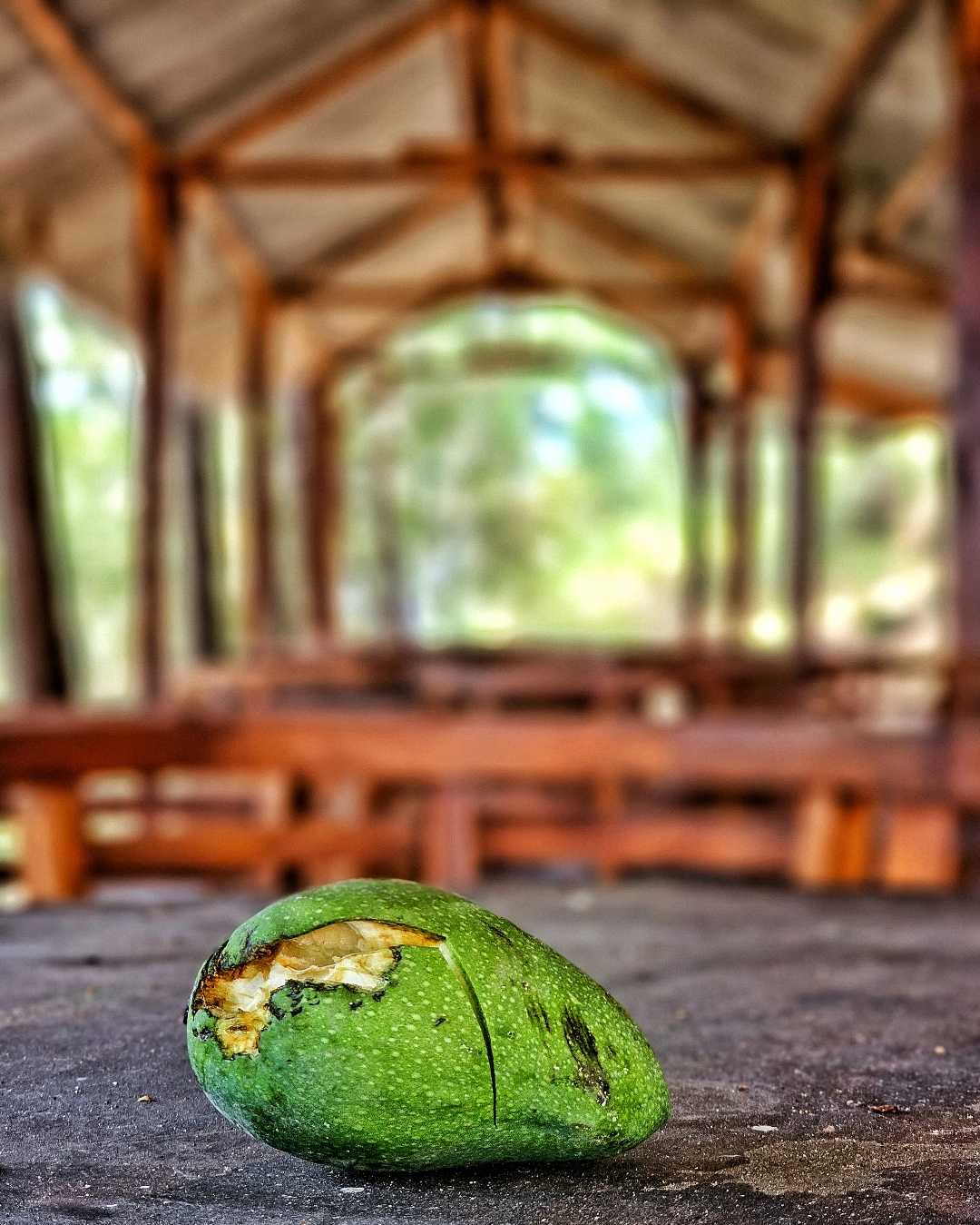 "MANGO"