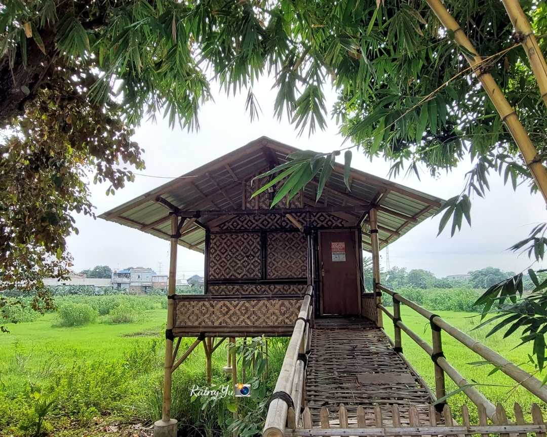 Rumah Bamboe dg latar belakang Sawah