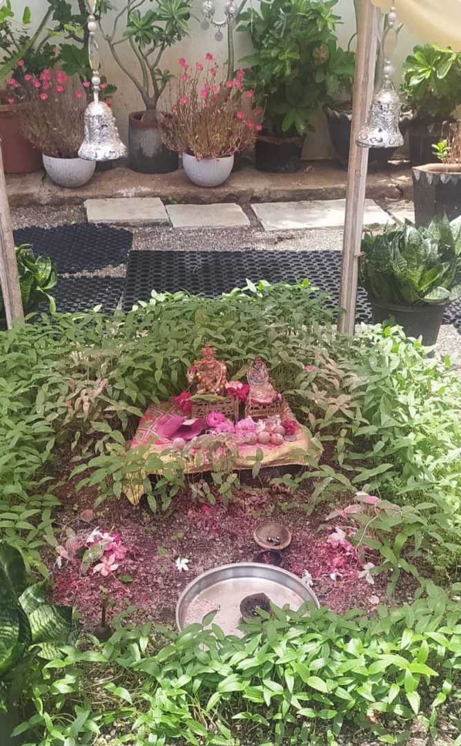 Harvesting festival/pooja