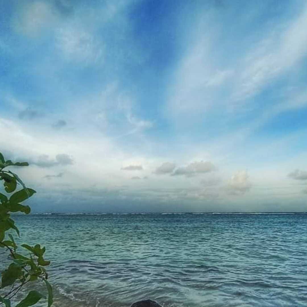 Laut