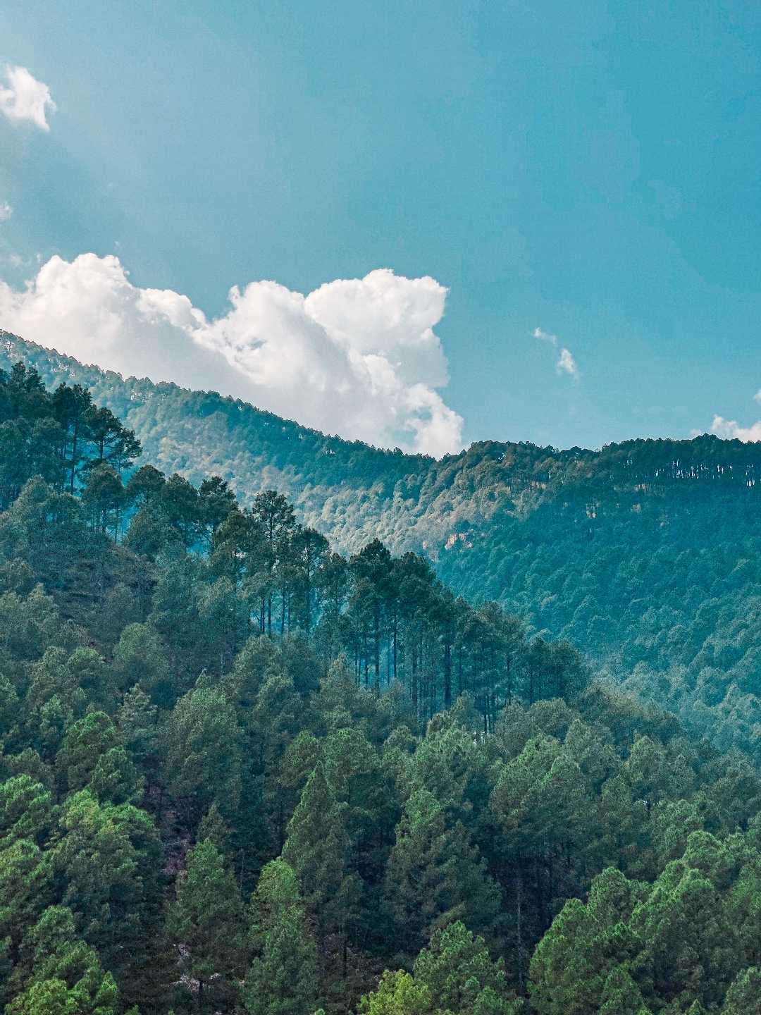 Mighty Mountains 🗻