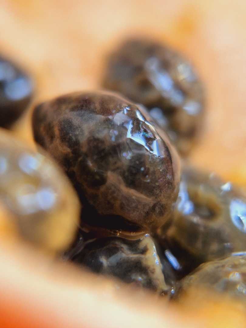 macro