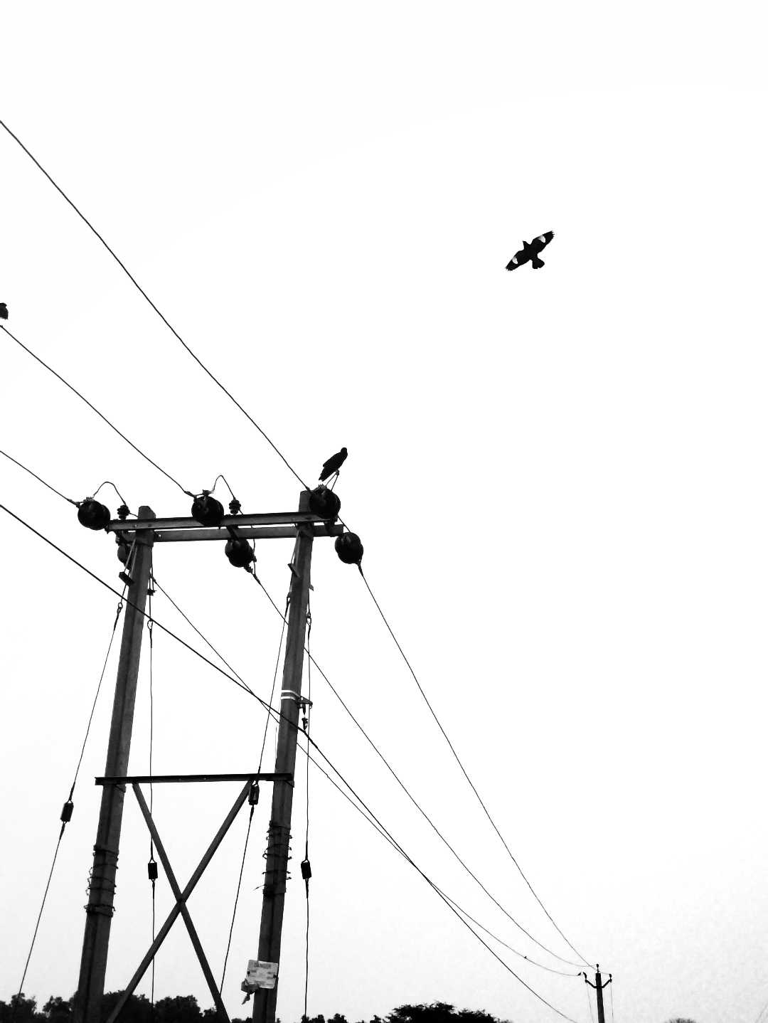 Minimalist photography
