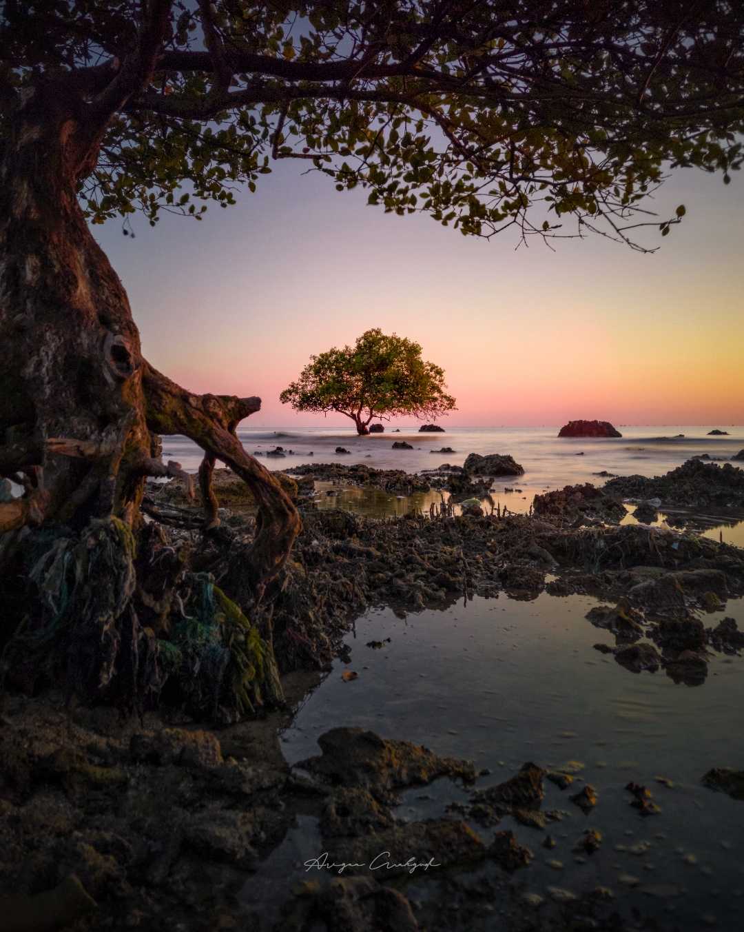 Framing Photography 