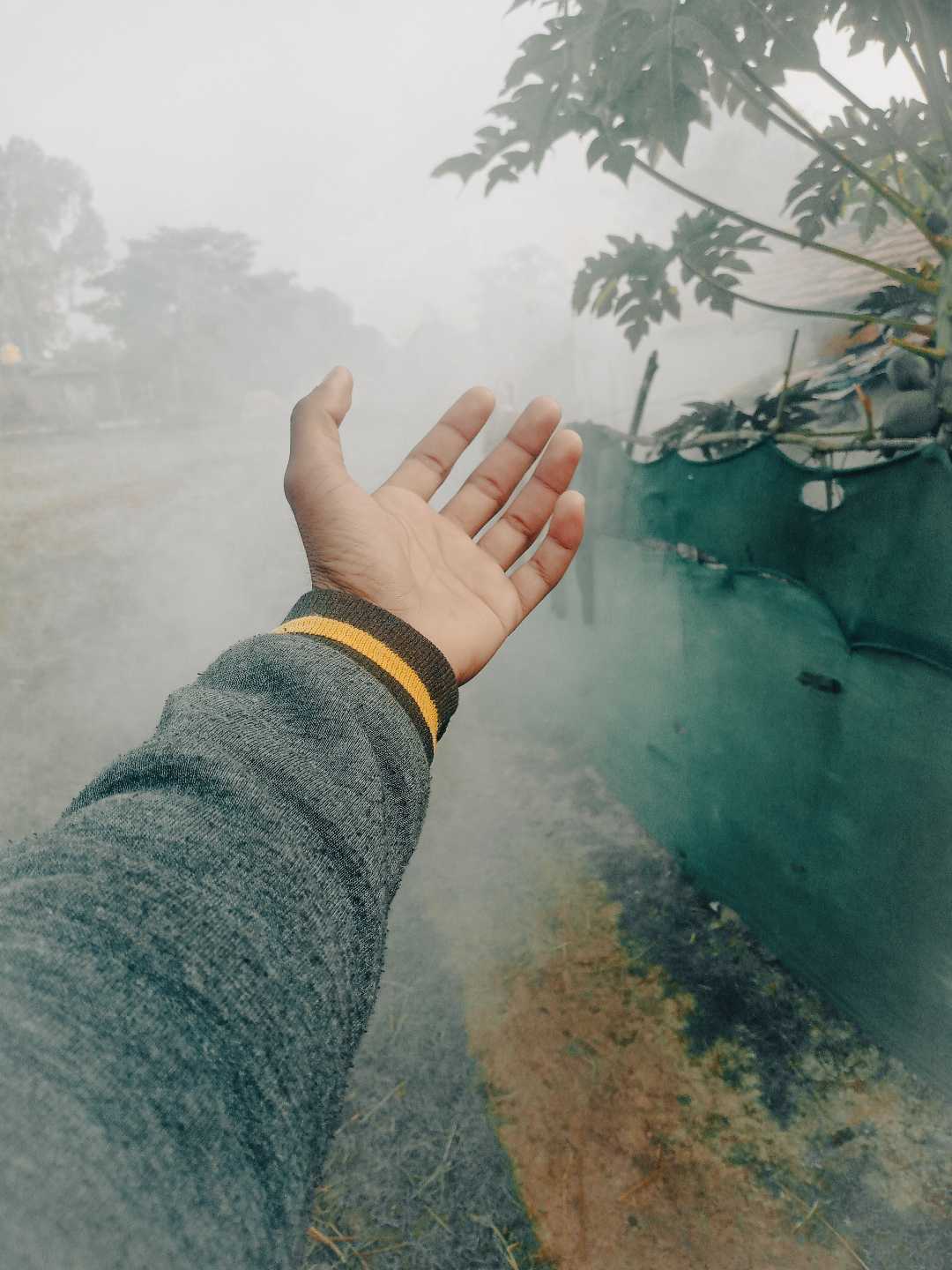 winter 