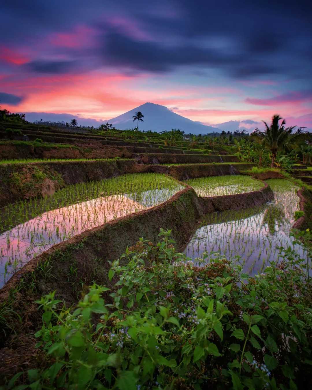Spot sunset tersembunyi di temanggung 
