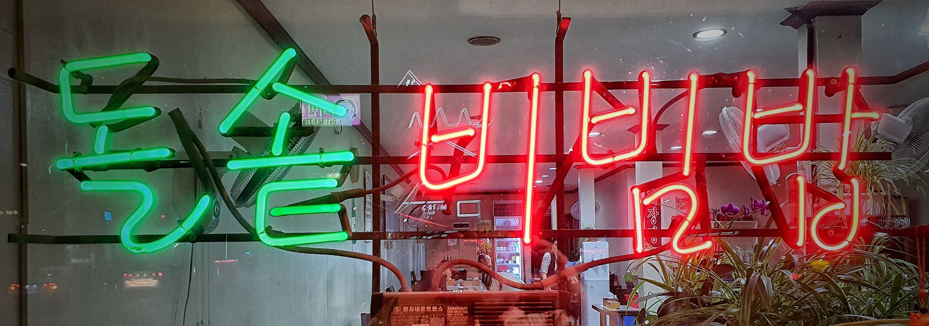 neon lights, neon life