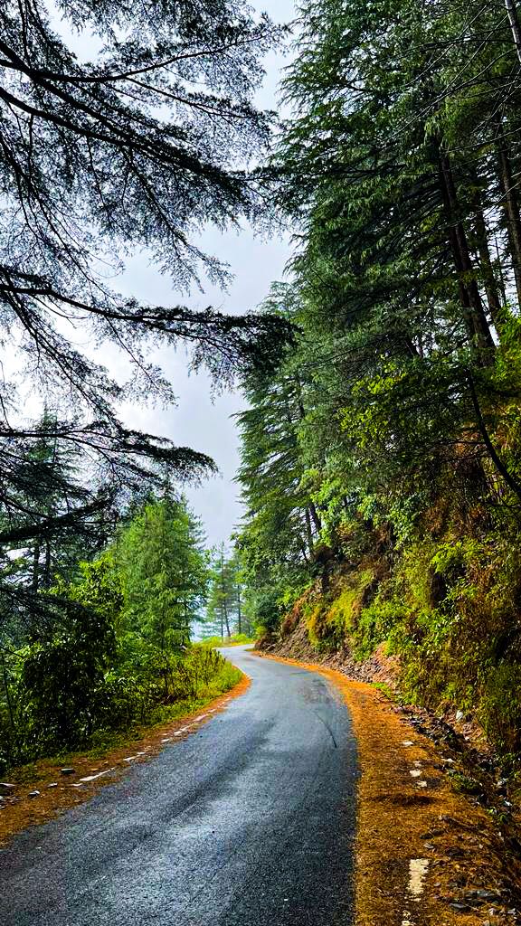 Roads like these >>>
