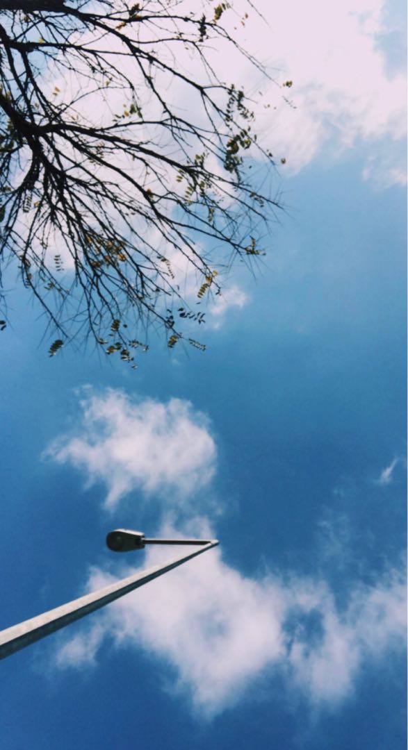 dream