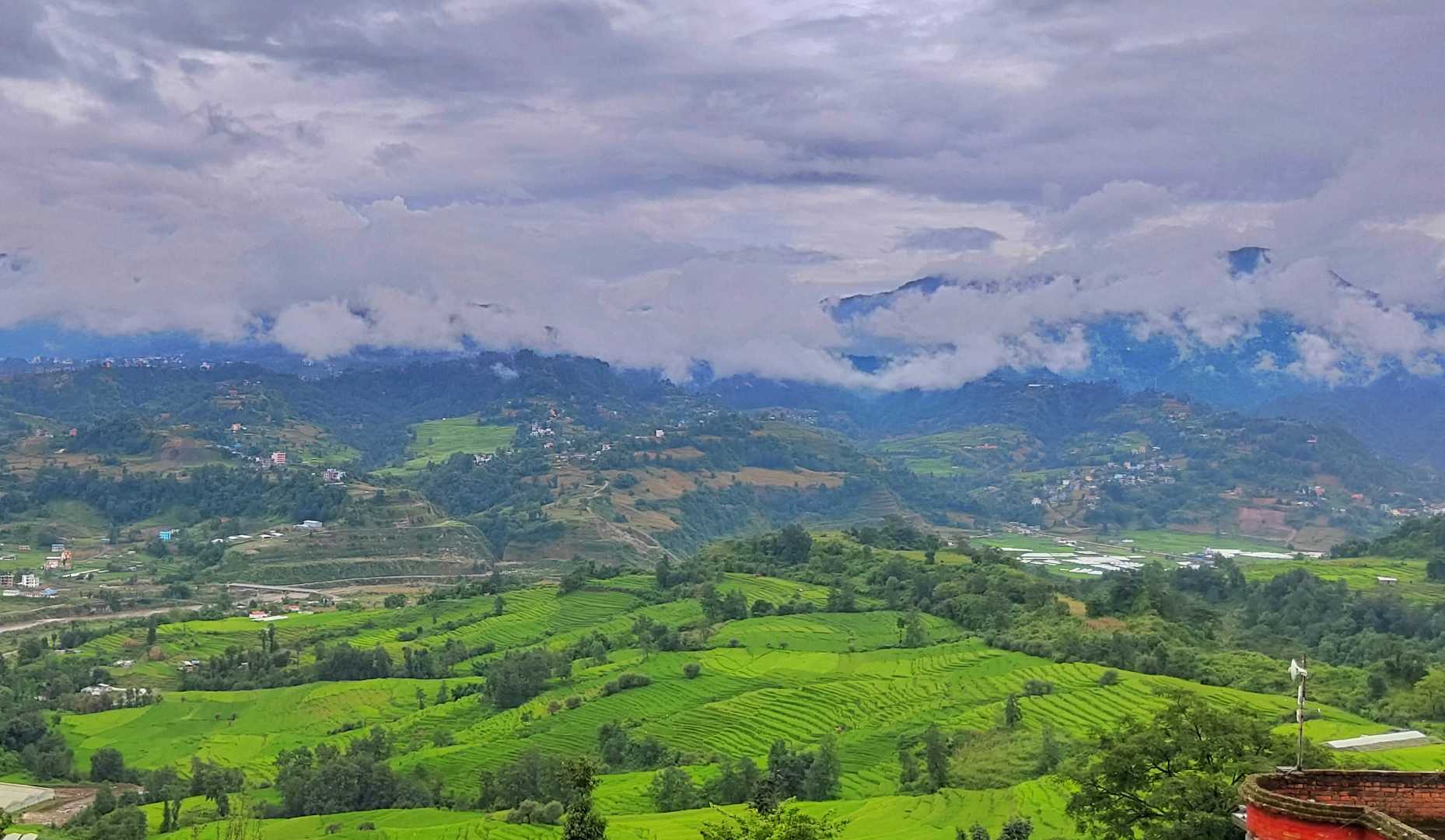 Green fields of Pharping