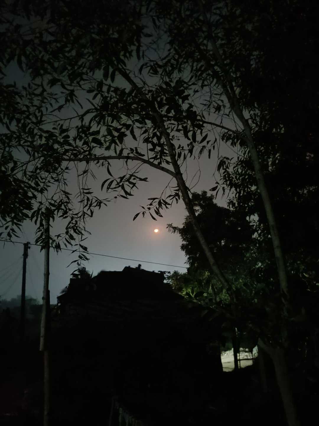 nature of beauty