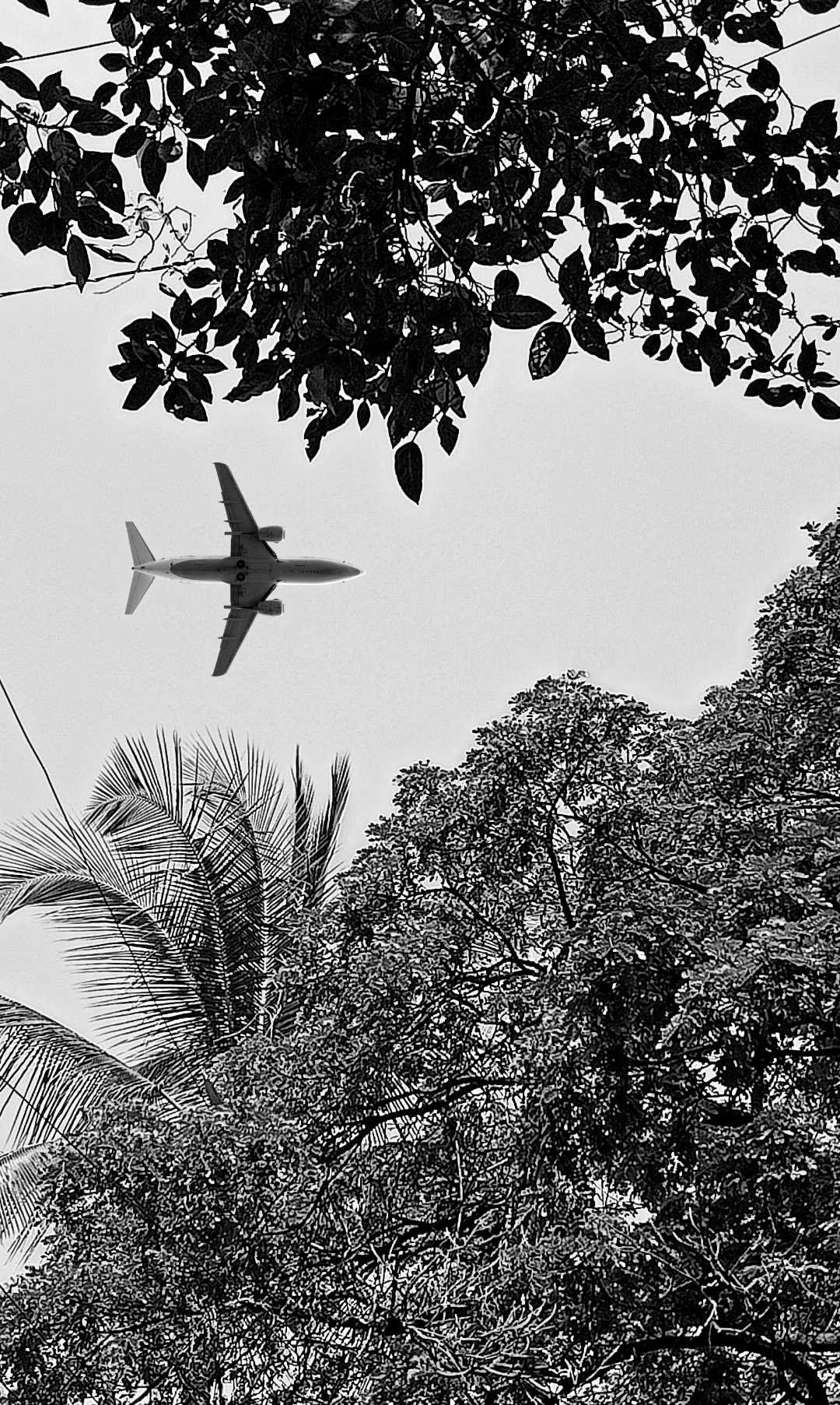aeroplane ✈️