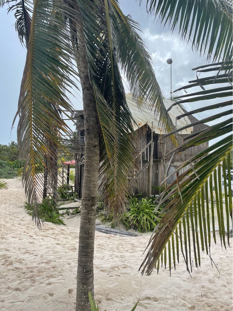 Tulum 🇲🇽