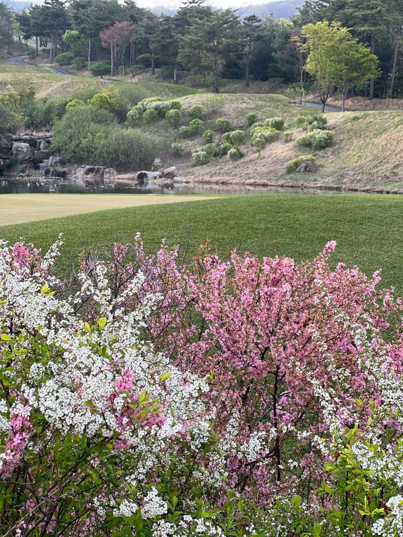 spring