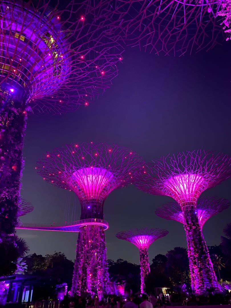 Gardens by the Bay
