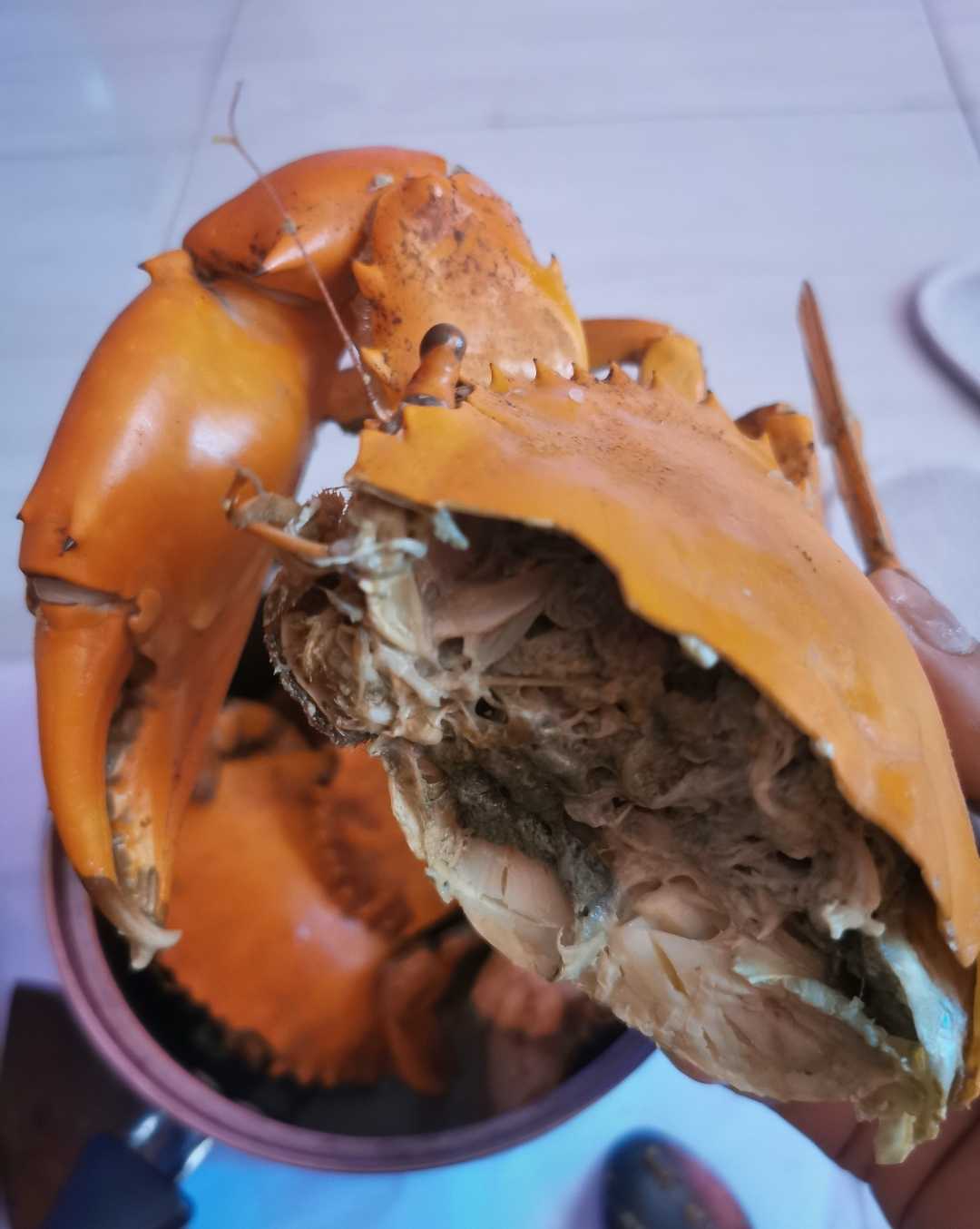 Kepiting Kuah Santan