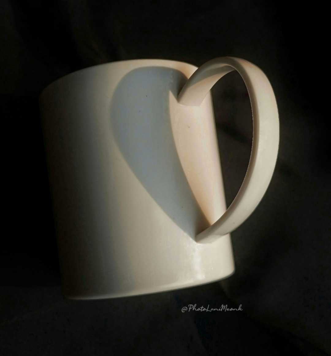 "Still Life Photography" in black and white theme