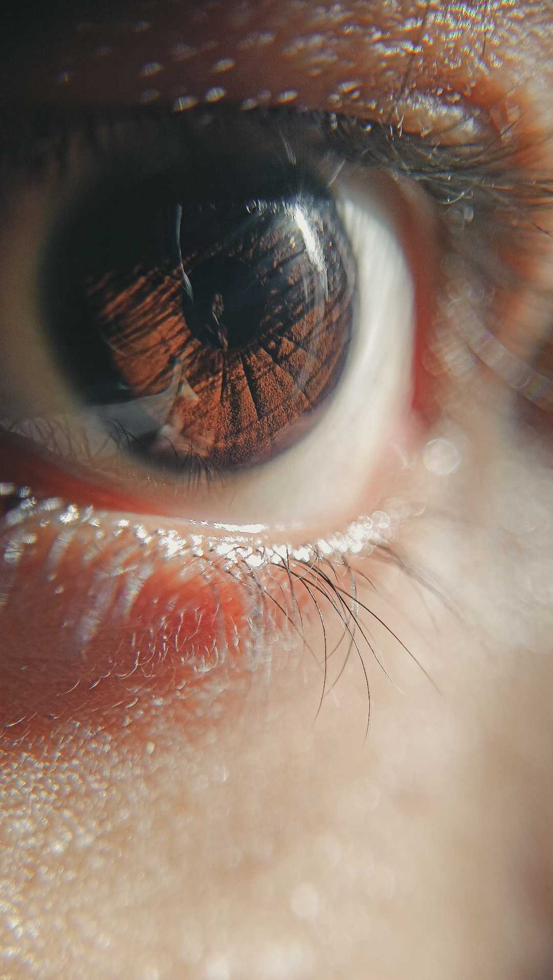 Eye photography 