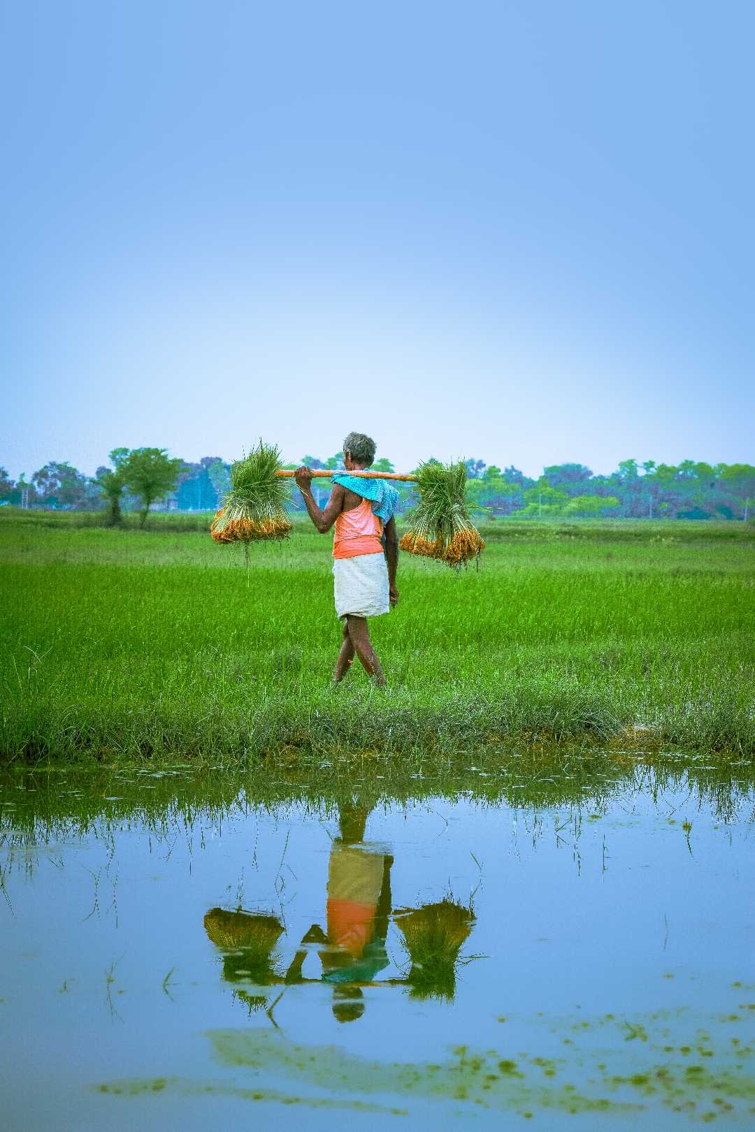 indian farmer ♥️