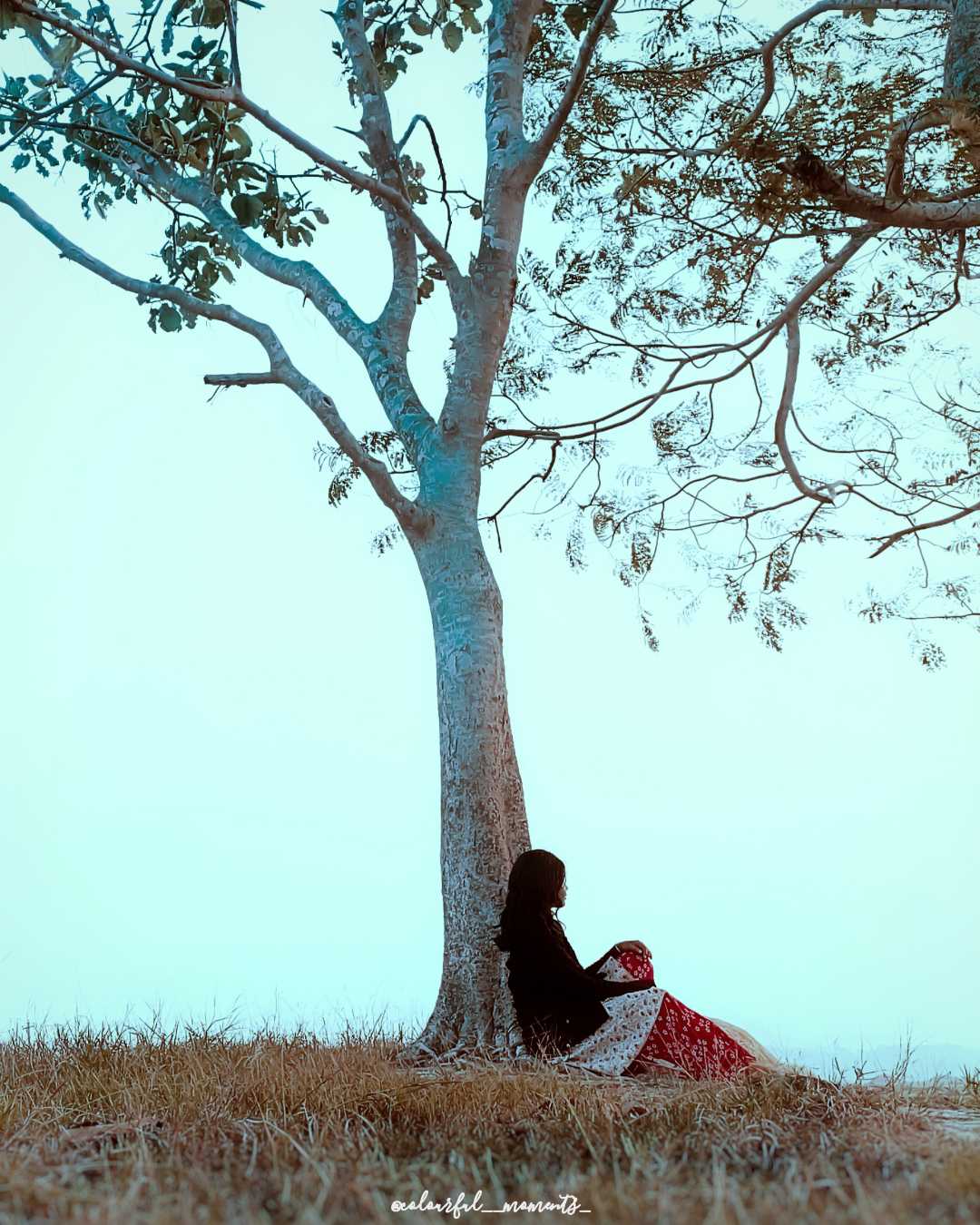 In the vastness of solitude, finding yourself....🍁