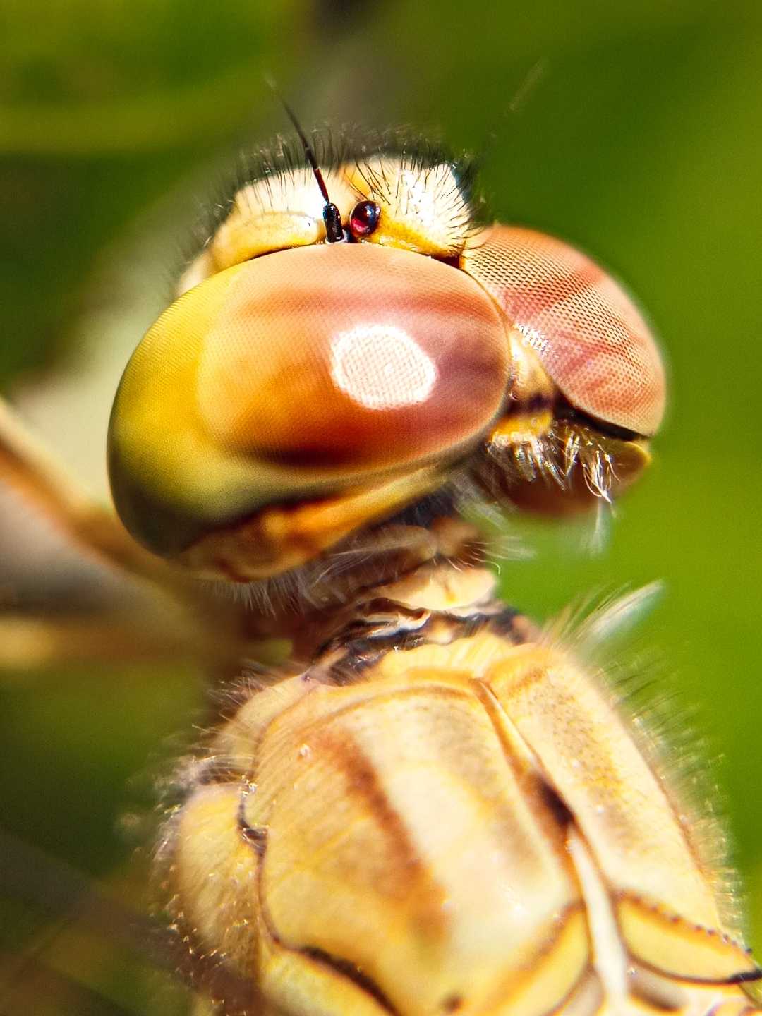 👀
