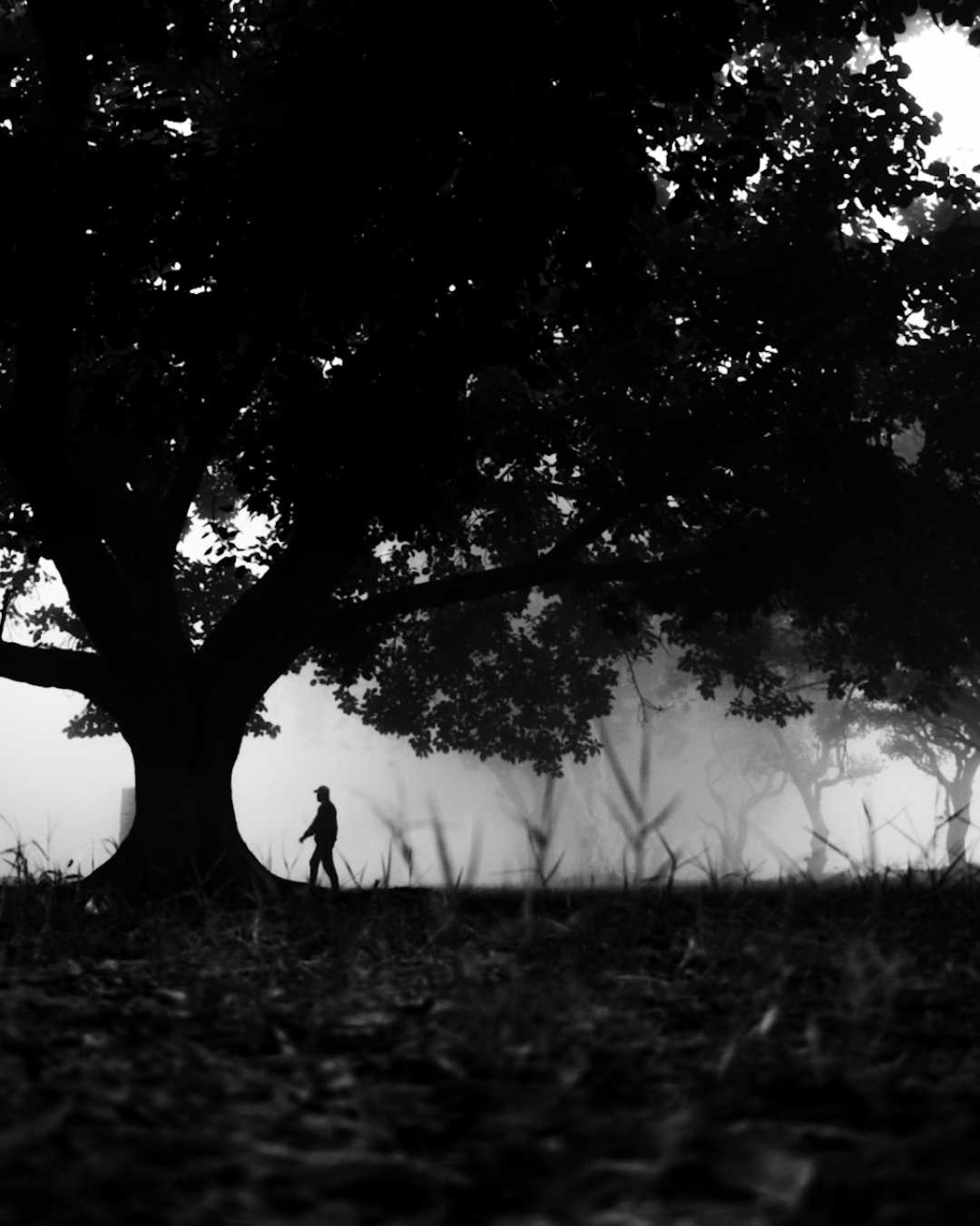 self silhouette