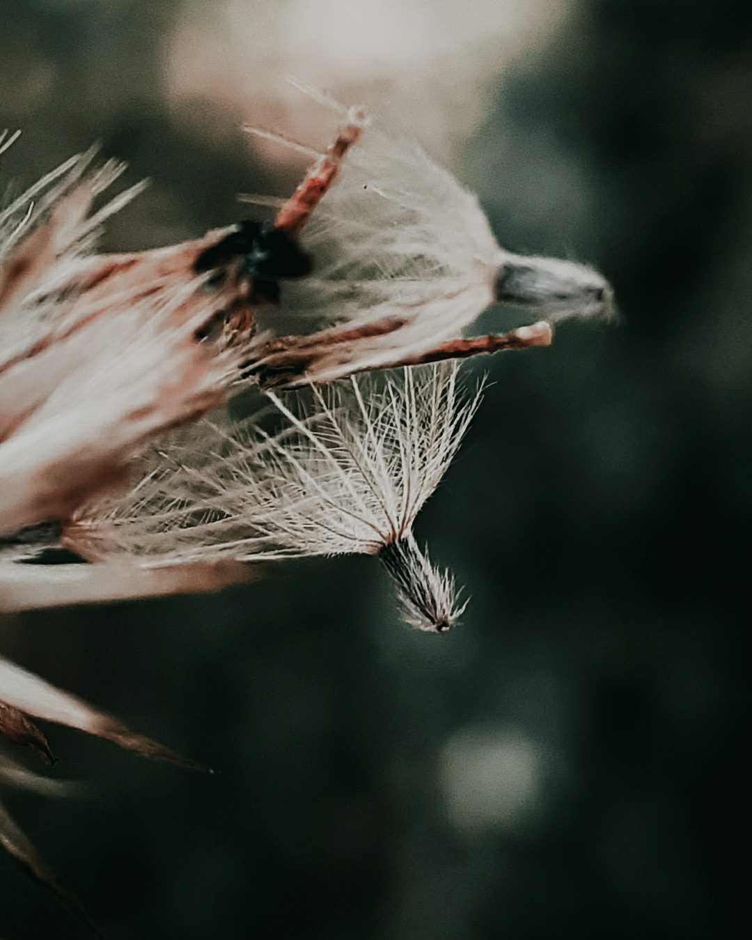 Flowing with wind❤