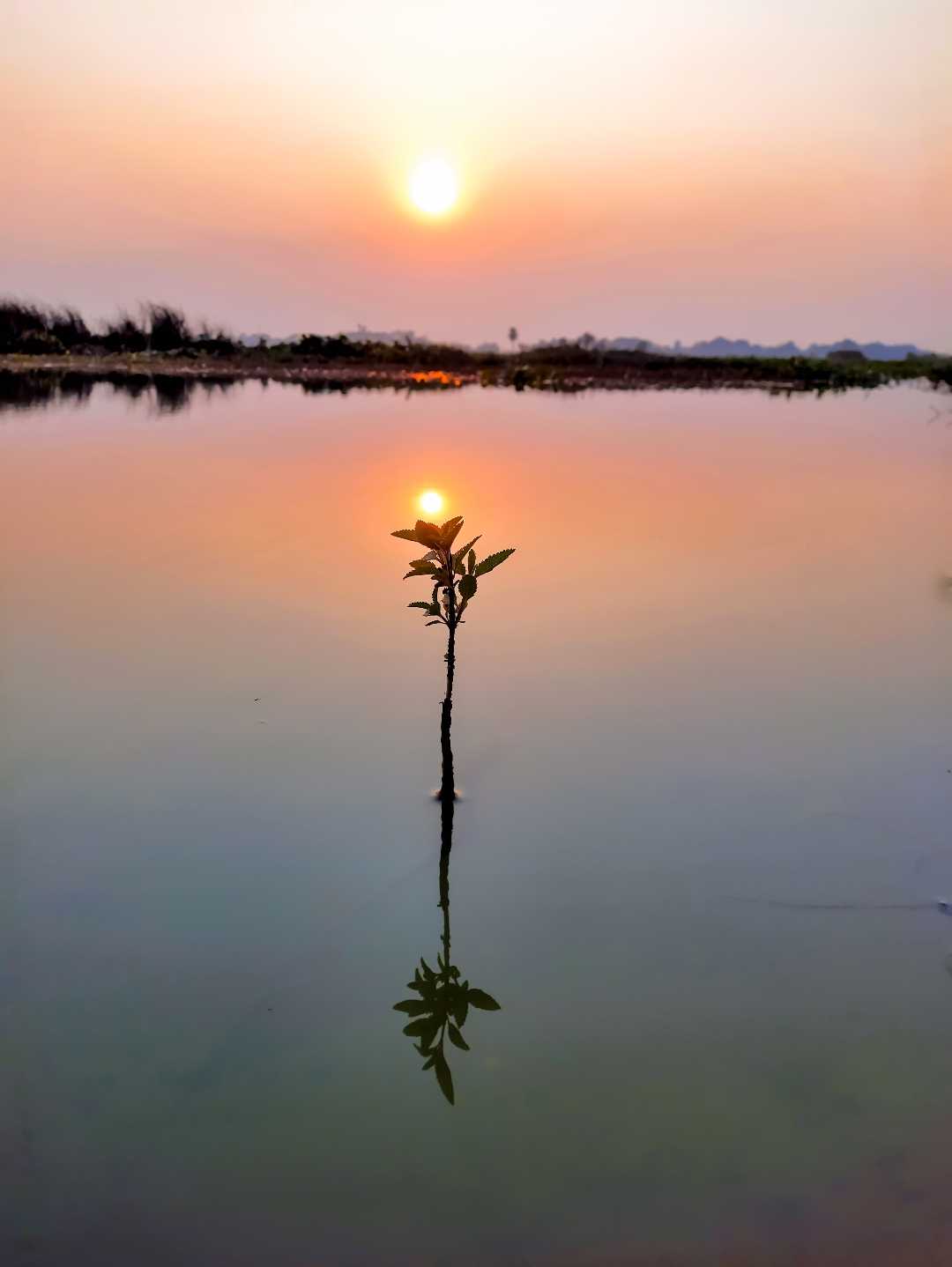 sunrise 😍