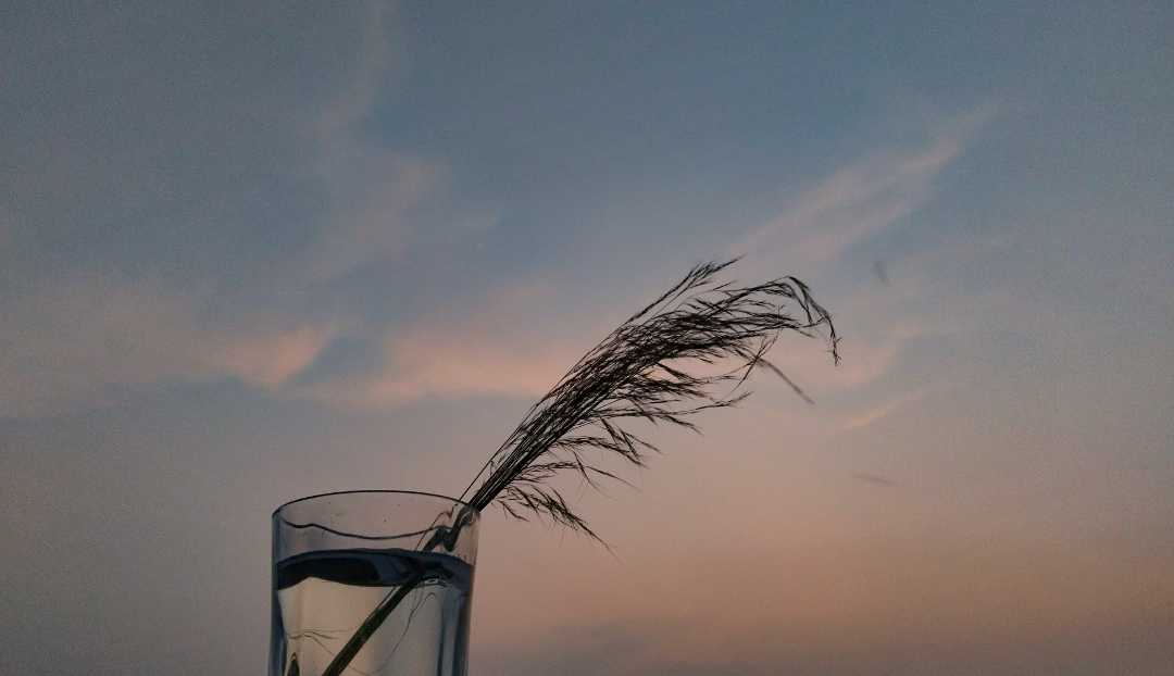 Creative photography📷