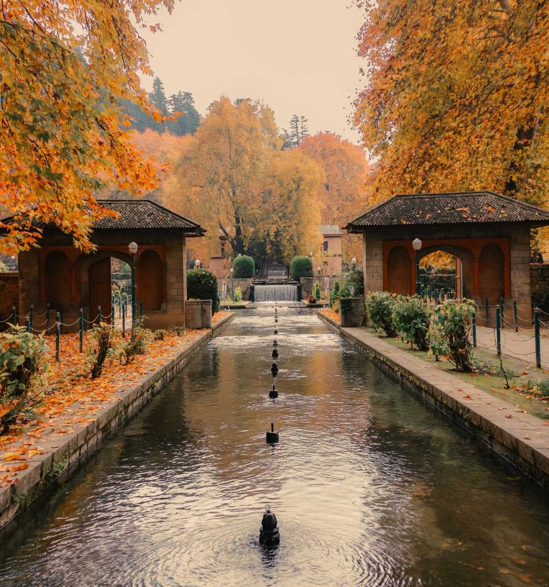 Achabal garden 
