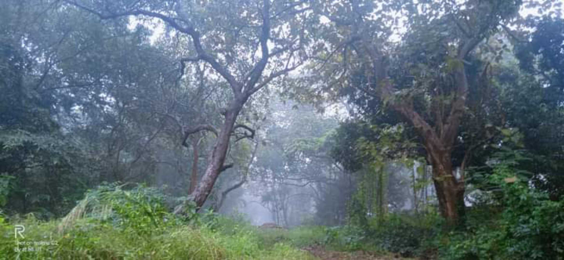 Campus in the Winter-Rain...