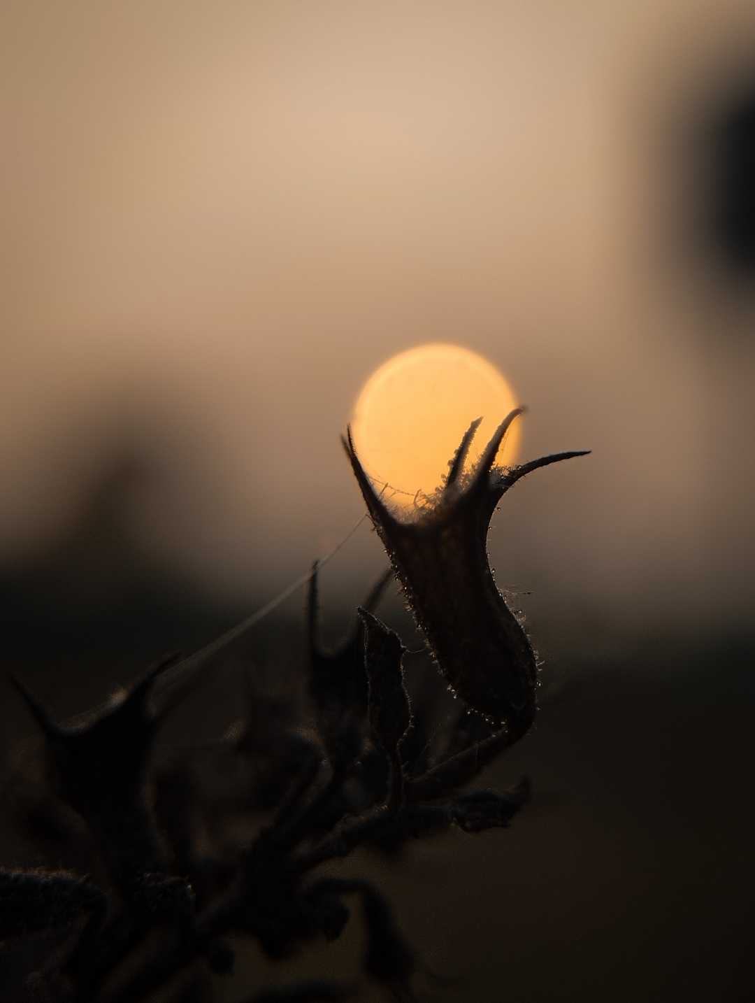 your views ✴️