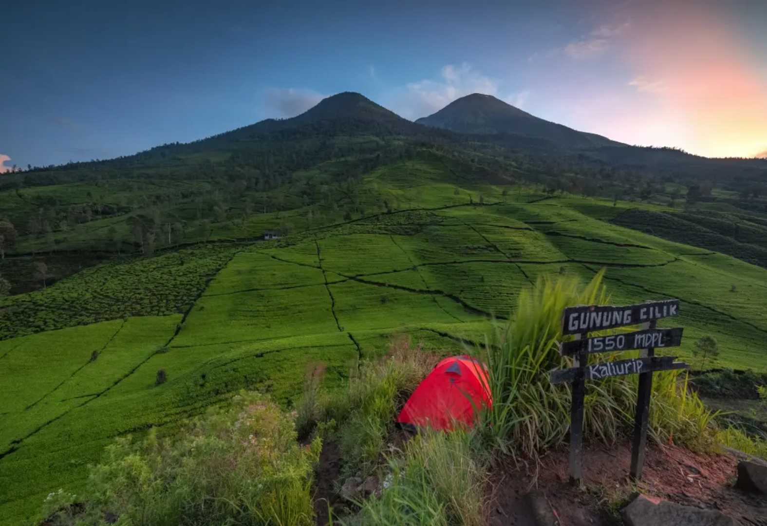 Kebun Teh Bedakah