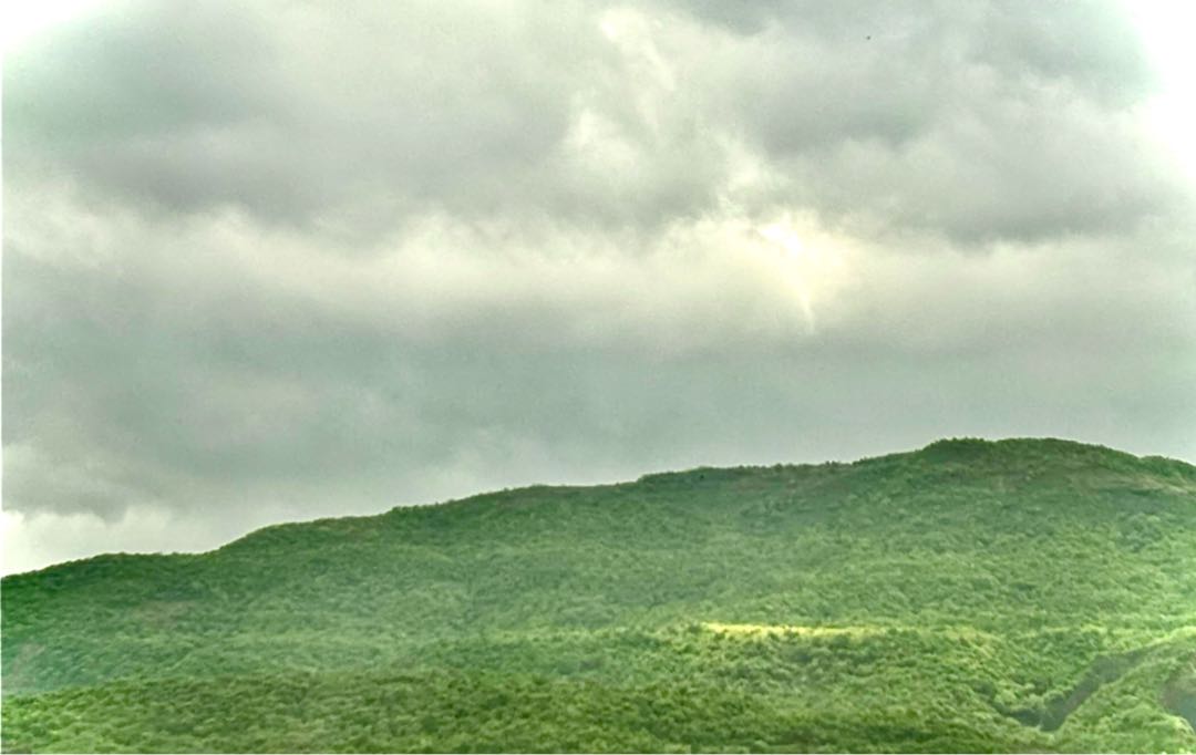 Greenery after rains