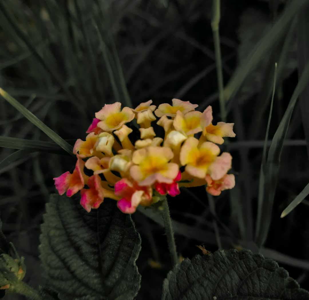 💐