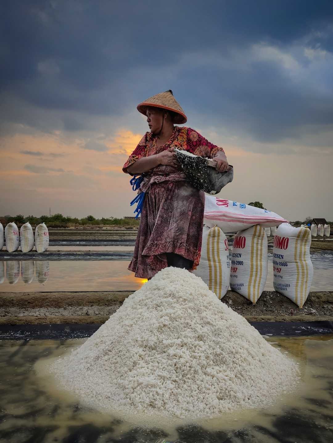 petani garam