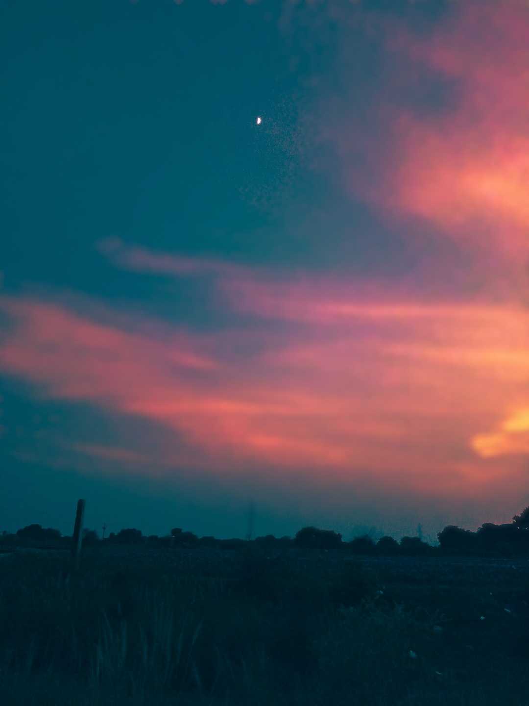 Evening View