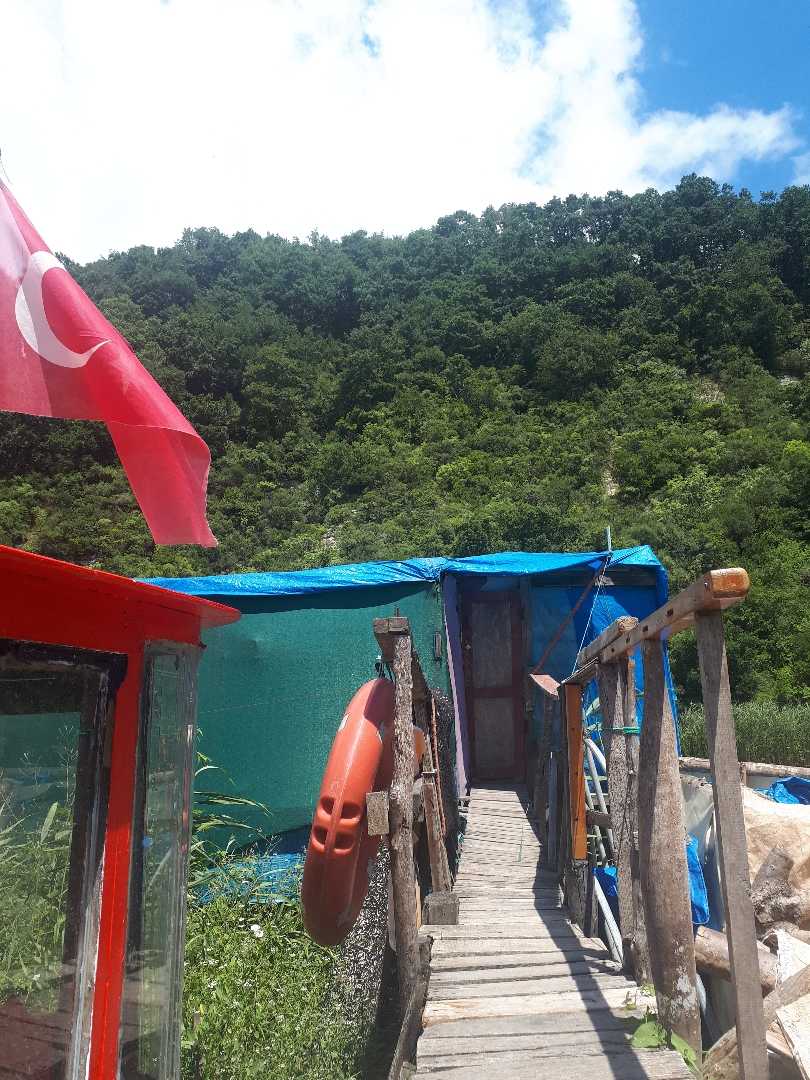 Ağva🧚‍♀️