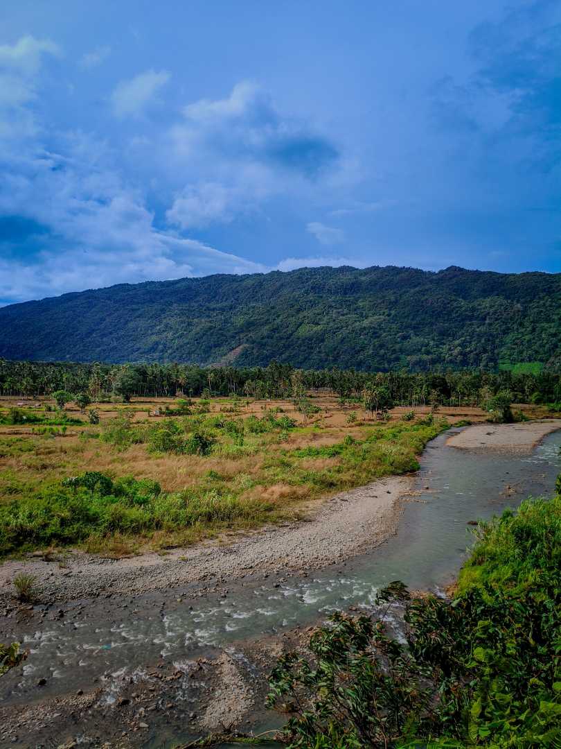 nature