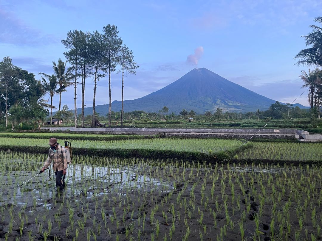 Farming