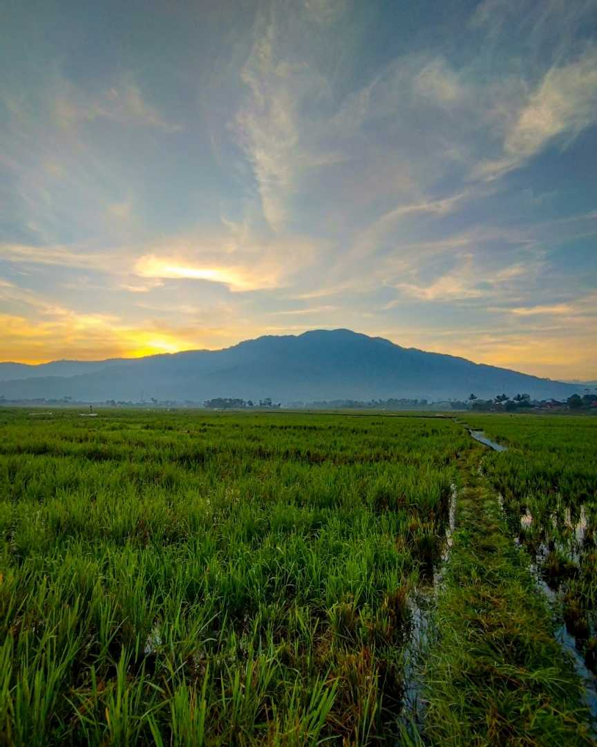 Pemandangan di Cibatu, Garut