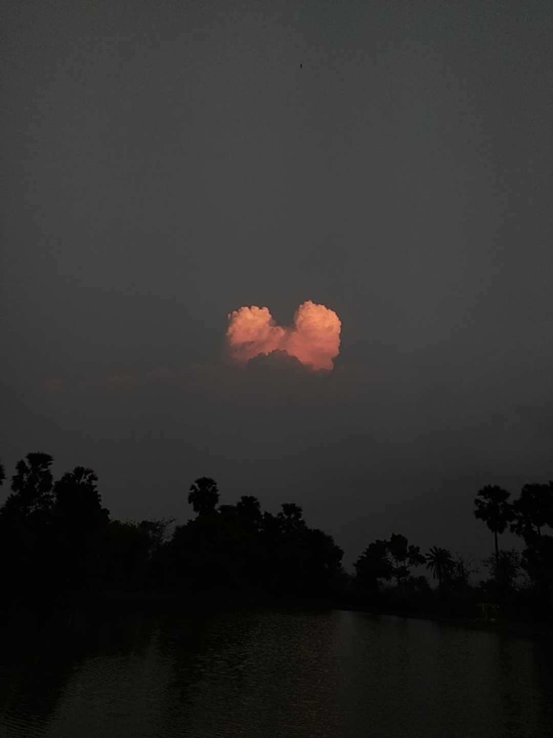 Nature Photography